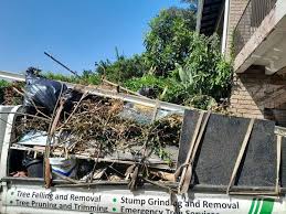 Best Yard Waste Removal  in Douglas, AL