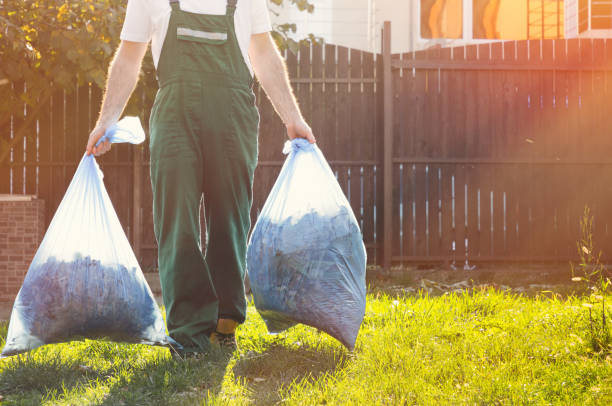 Best Shed Removal  in Douglas, AL